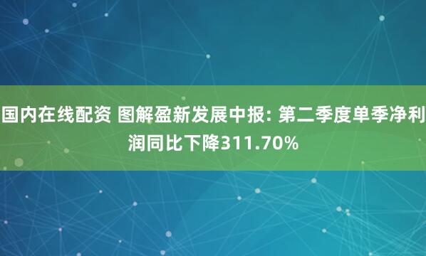 国内在线配资 图解盈新发展中报: 第二季度单季净利润同比下降311.70%