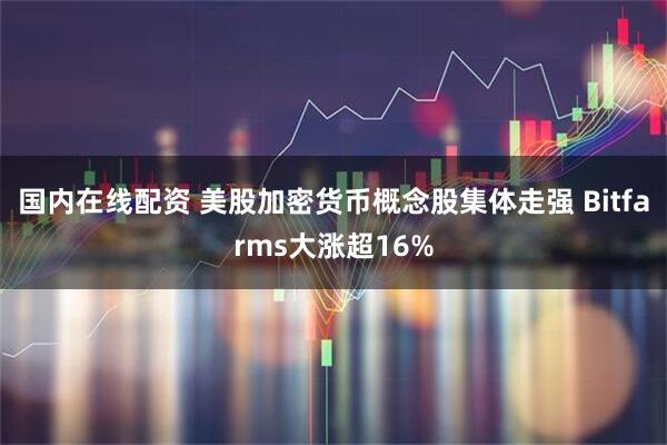 国内在线配资 美股加密货币概念股集体走强 Bitfarms大涨超16%