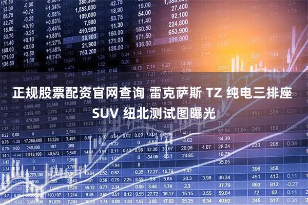 正规股票配资官网查询 雷克萨斯 TZ 纯电三排座 SUV 纽北测试图曝光